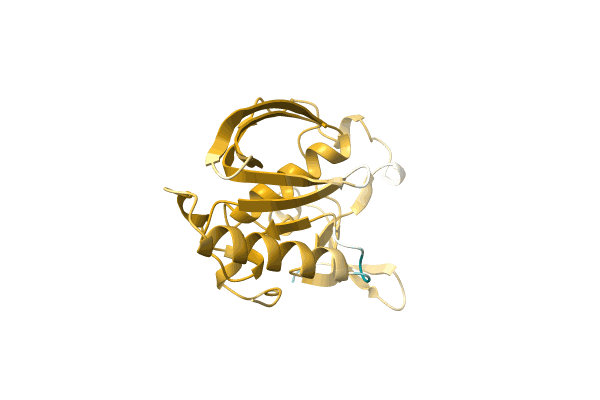 AF-A0A0G1HNP1-F1 image