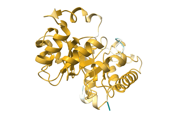 AF-A0A0G1UCX1-F1 image