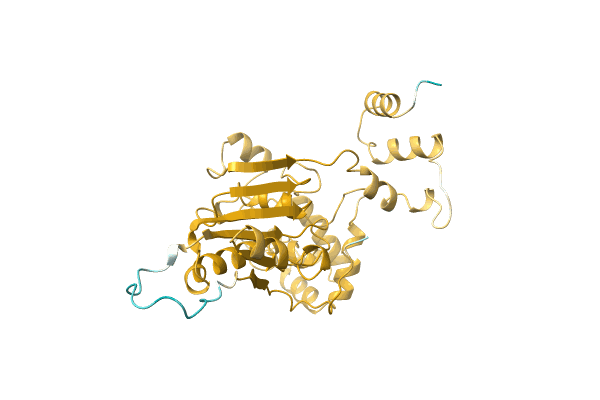 AF-A0A0G2QMW5-F1 image