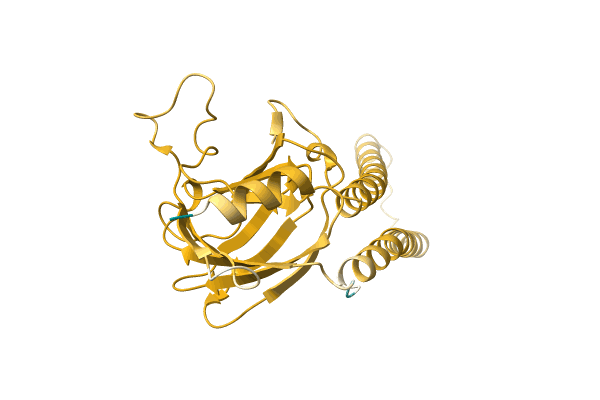 AF-A0A0G2R0G5-F1 image