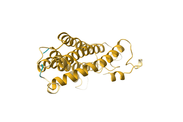 AF-A0A0G2SU62-F1 image