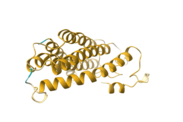 AF-A0A0G2SUA6-F1 image