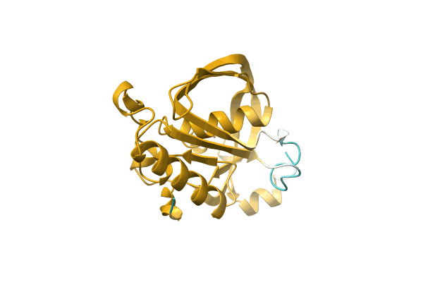 AF-A0A0G3FY16-F1 image