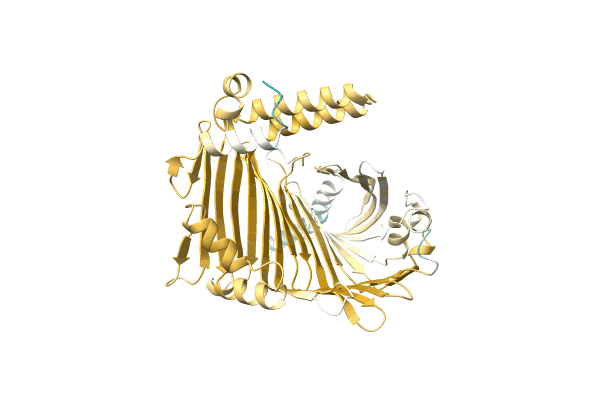 AF-A0A0G3G303-F1 image