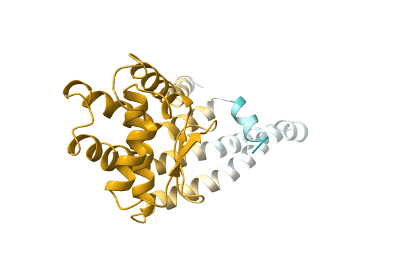 AF-A0A0G3G347-F1 image