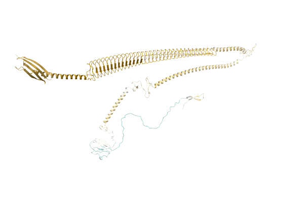 AF-A0A0H2WHF1-F1 image