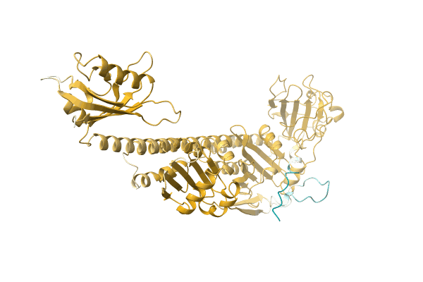 AF-A0A0H2XCS3-F1 image