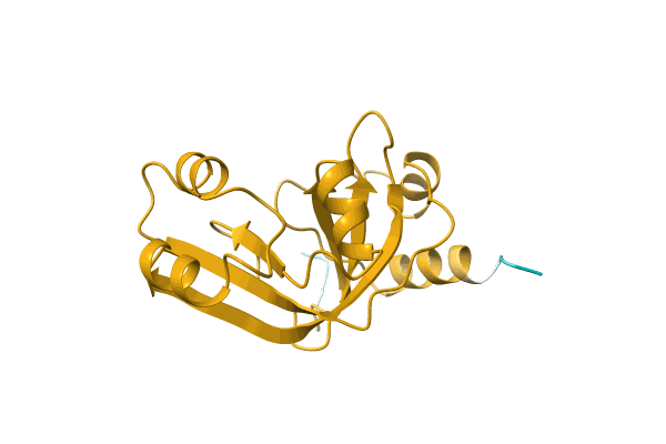 AF-A0A0H3G0N3-F1 image