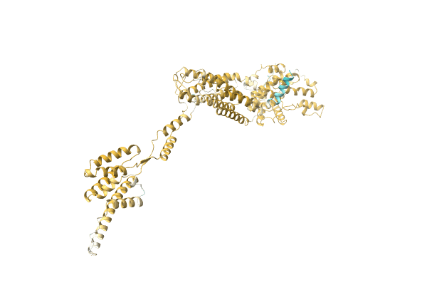 AF-A0A0H3GGY3-F1 image