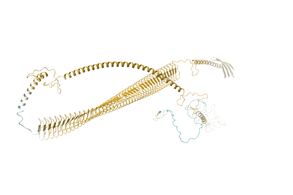 AF-A0A0H3HIJ5-F1 image