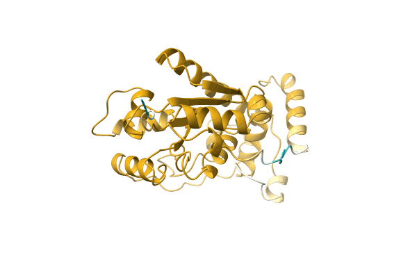 AF-A0A0H3L952-F1 image