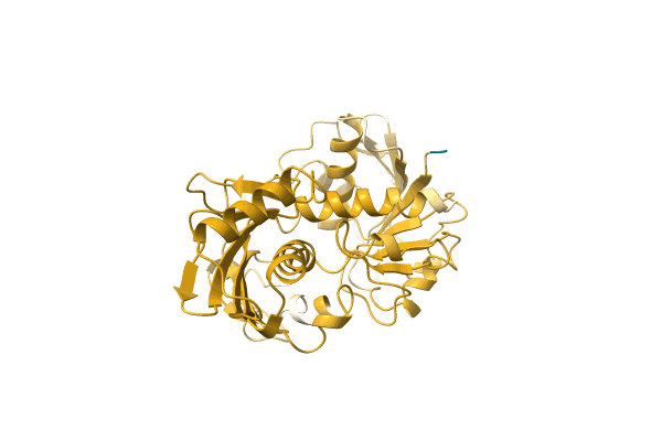 AF-A0A0H3MAB5-F1 image