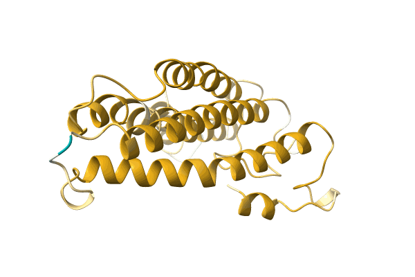 AF-A0A0H3ULQ7-F1 image