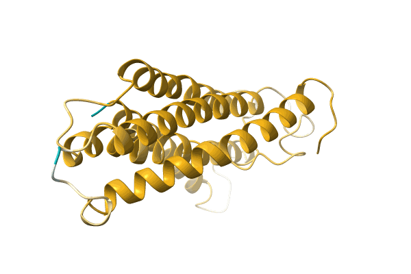 AF-A0A0H4JEX2-F1 image