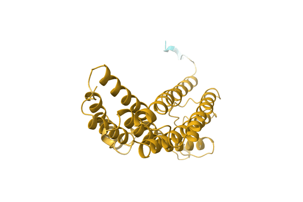 AF-A0A0H4TDP9-F1 image