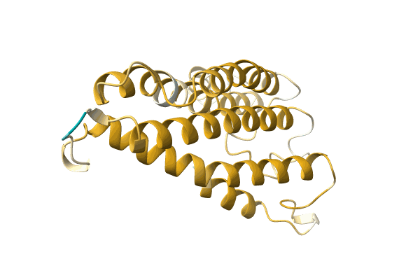 AF-A0A0H4TDR2-F1 image