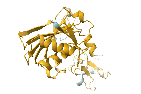 AF-A0A0H4TEE8-F1 image