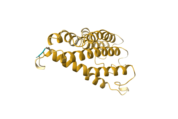 AF-A0A0H4TGR6-F1 image