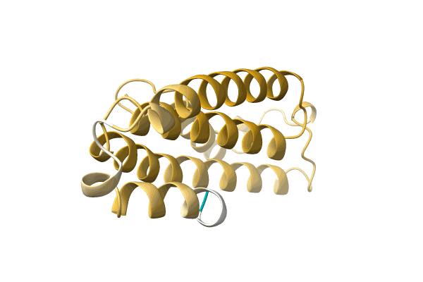 AF-A0A0H4U4E5-F1 image