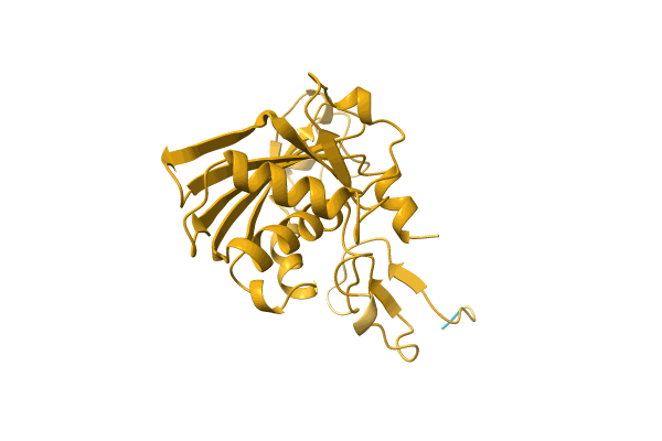 AF-A0A0K0MHU5-F1 image