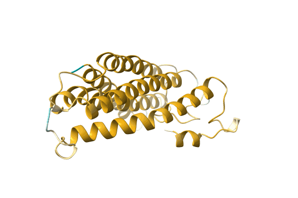 AF-A0A0K0NTH9-F1 image