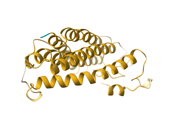 AF-A0A0K0NZJ8-F1 image