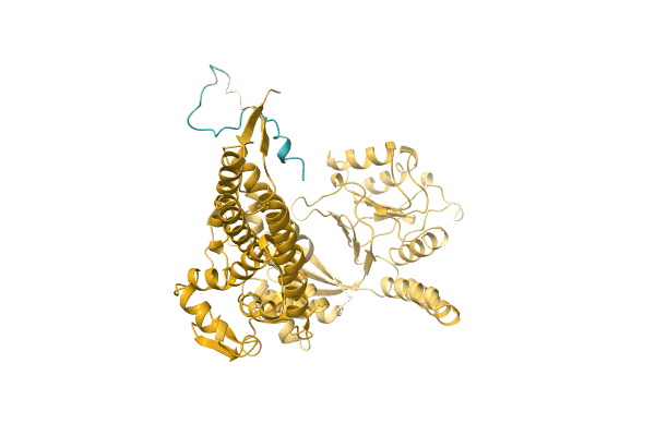 AF-A0A0K0XCY8-F1 image