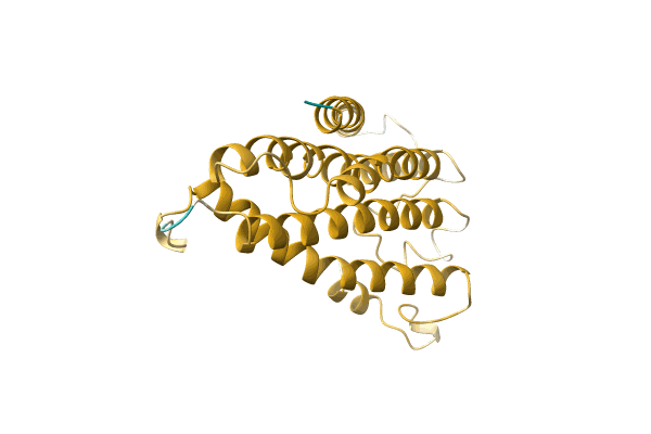 AF-A0A0K1L555-F1 image