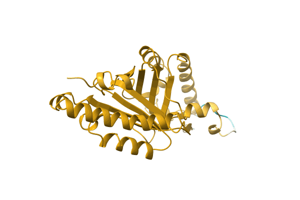 AF-A0A0K2H9D8-F1 image