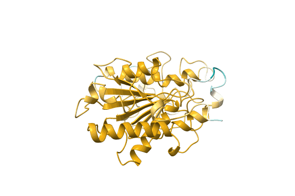 AF-A0A0M3KKW3-F1 image