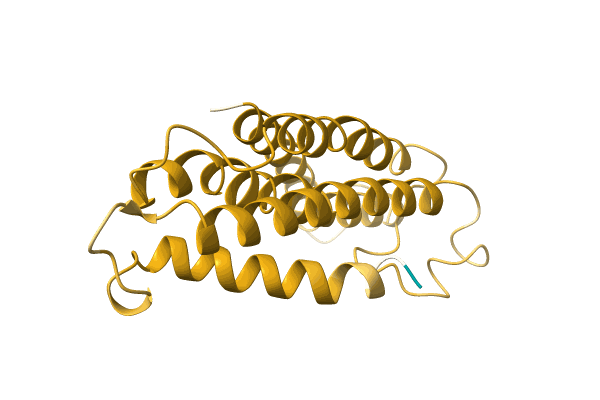 AF-A0A0M3NTP7-F1 image