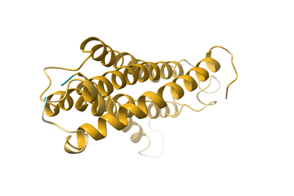 AF-A0A0M3XS05-F1 image