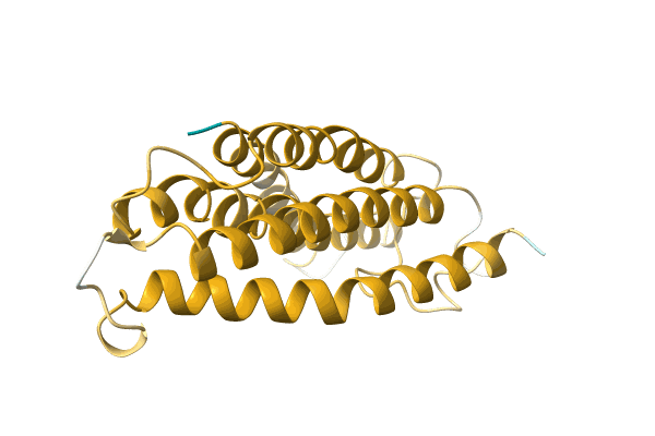 AF-A0A0M3XYQ2-F1 image