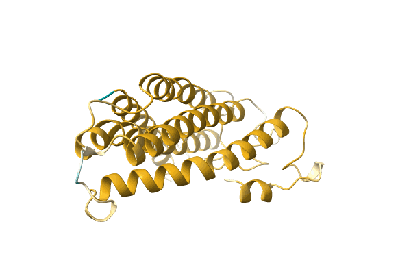 AF-A0A0M3Y4T1-F1 image