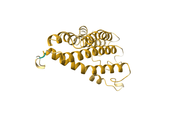 AF-A0A0M3Y5V1-F1 image