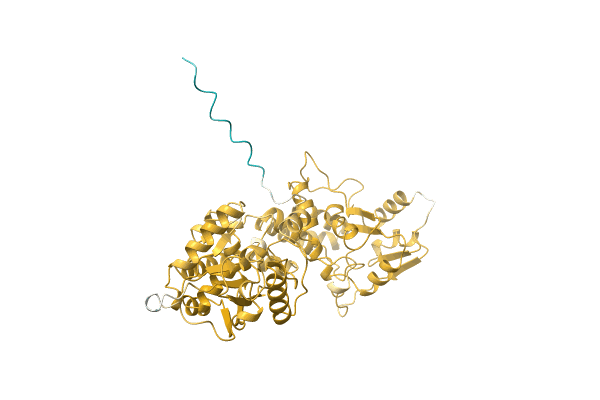 AF-A0A0M4FCN7-F1 image