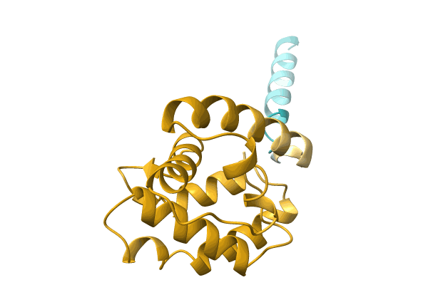 AF-A0A0M4FJN0-F1 image