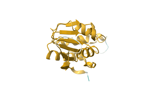 AF-A0A0M4TBF2-F1 image