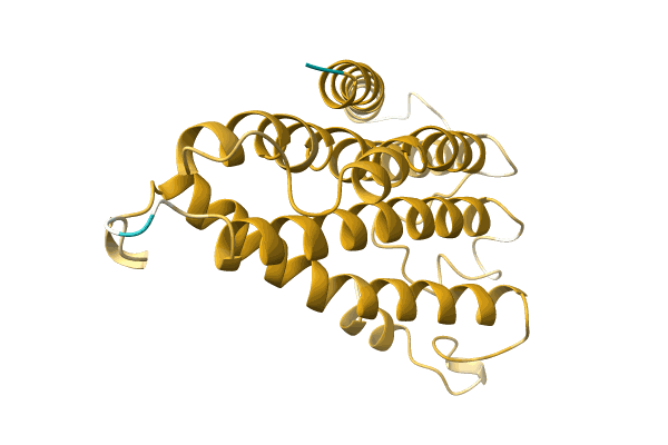 AF-A0A0M5HJT9-F1 image