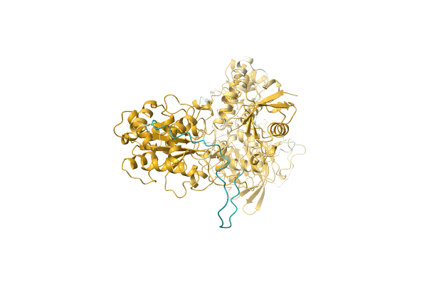 AF-A0A0M5K865-F1 image