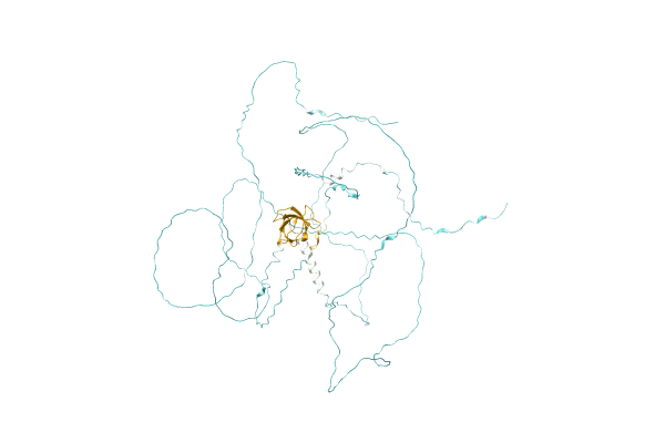 AF-A0A0N0P9I2-F1 image