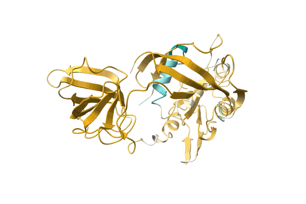 AF-A0A0N6WHS5-F1 image