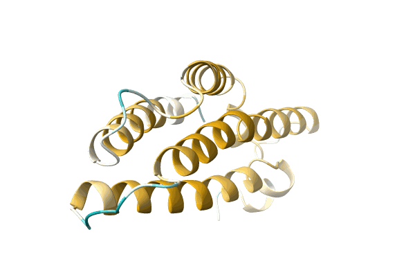 AF-A0A0N6Y0G1-F1 image