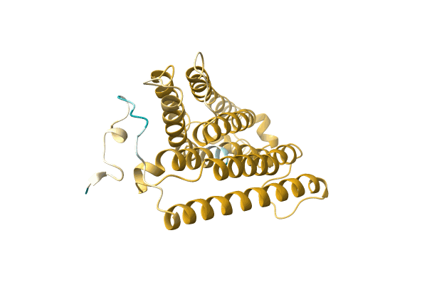 AF-A0A0N6Y0G3-F1 image