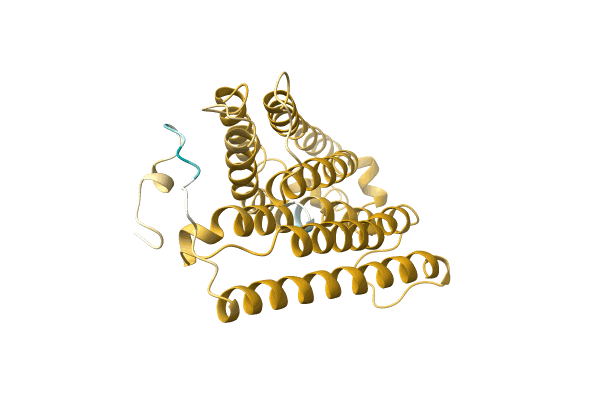 AF-A0A0N6Y157-F1 image