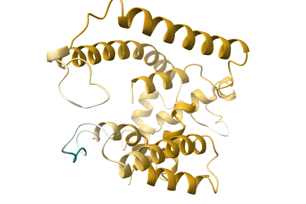 AF-A0A0N7DJI9-F1 image