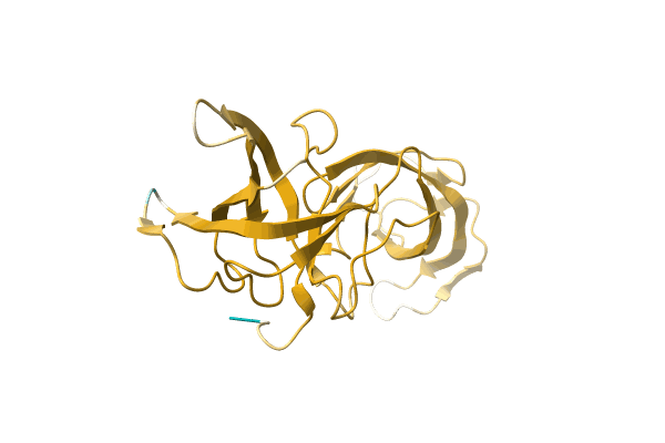 AF-A0A0N7DKT3-F1 image