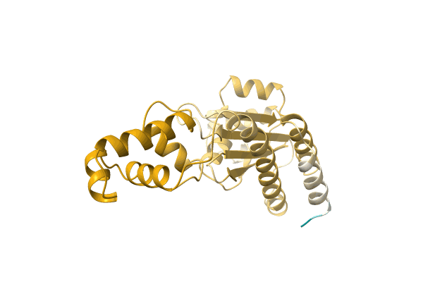 AF-A0A0N8YGA2-F1 image