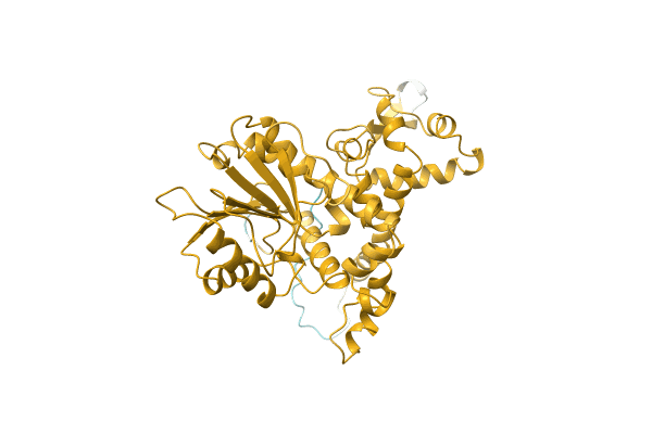AF-A0A0N9HMN6-F1 image