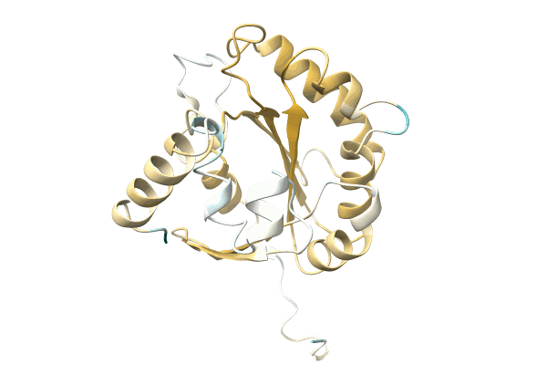 AF-A0A0P0L9S7-F1 image